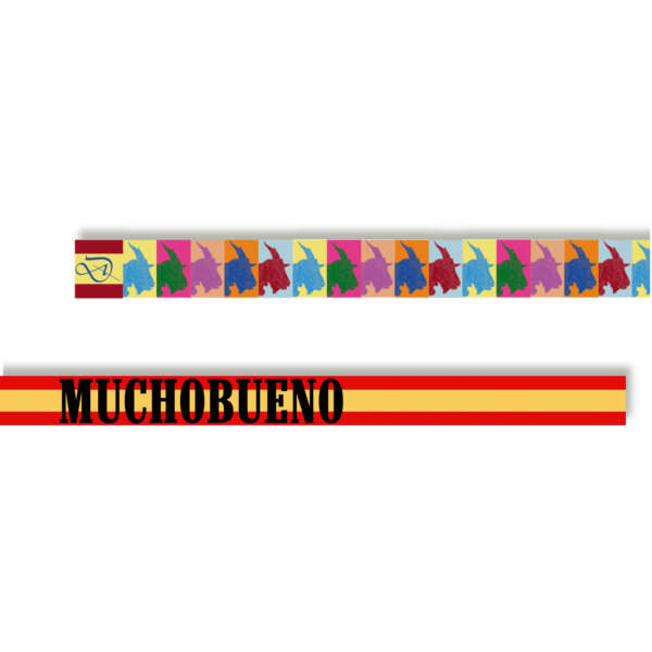 PACK PULSERAS